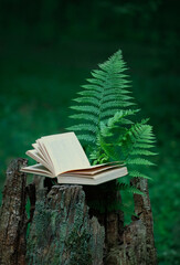 Book with fern leaves on stump in forest, natural blurred background. old book in mystery...