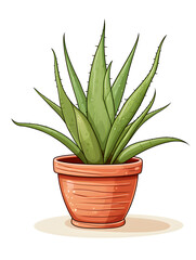 Illustration of a aloe vera plant in a pot on white background 