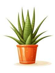 Illustration of a aloe vera plant in a pot on white background 