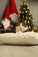 Cute cat lying on soft pillow near Christmas decor at home. Adorable pet