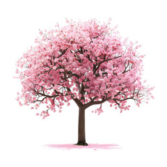 Obraz premium The full length of pink tree isolated on white backgrounds