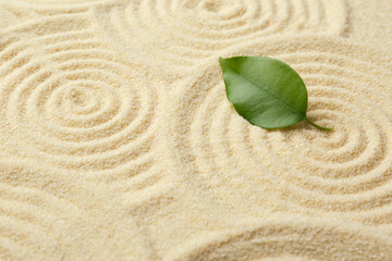 Fototapeta na wymiar Zen rock garden. Circle patterns and green leaf on beige sand, closeup