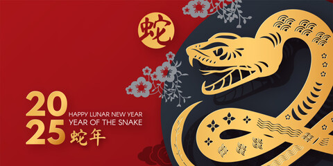 Happy Chinese New Year 2025 with Snake zodiac sign and flowers. Lunar new year card template. Gold paper cut style on color background. Chinese text means "Year of the Snake".