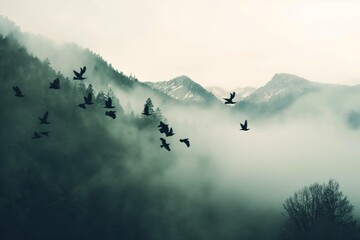 flock of birds flying over the mountains