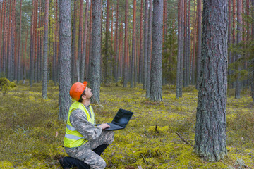 A forest engineer with a computer in his hands is working on a forest inventory.