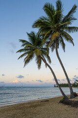 Las terrenas Beach, Saman&aacute; peninsula, Dominican Republic 