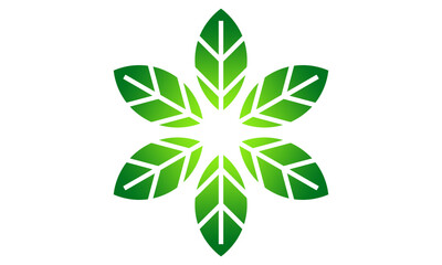 symbol plant leaf vector design logo