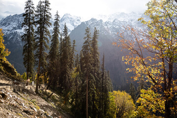 autumn in the mountains