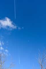 澄んだ青空と美しい飛行機雲と月