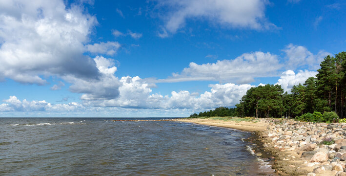 Kabli Sandy Beach, Estonia. Pine Tree Forest and East Baltic Sea Coastline. Beautiful Landscape.