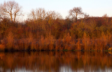 Reflection in the water at red sunset at the lakeshore