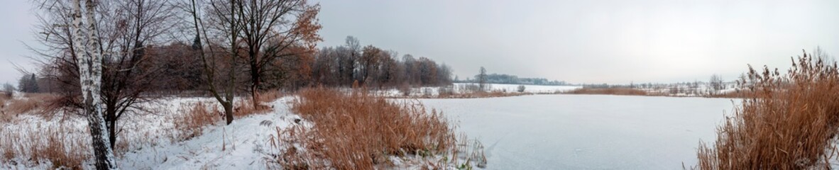 Obraz na płótnie Canvas Panorama of a path through a snowy winter forest. A gloomy day after a heavy snowfall.