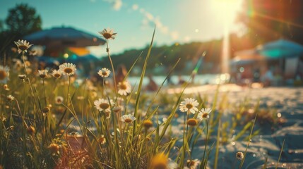 A vibrant burst of sunshine and life, a sea of white and yellow blooms dance in the summer breeze amidst the vast expanse of grass and sky