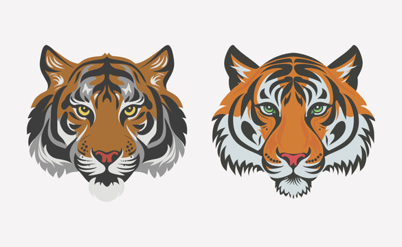  An illustration featuring the tiger's face against a white backdrop. The drawing is clear and simple,