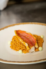 pescado lomo de pescado servido sobre un rissotto de arroz marinero con alioli de algas verde delicioso y sabroso, alimento, cocción, chef, mano, cocina, carne, restaurante, comida, chapa, cena, cuchi