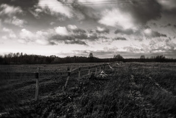 country road in black and white