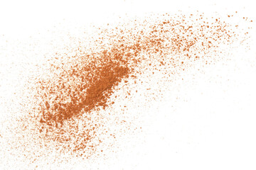 Dry aromatic cinnamon powder isolated on white, top view