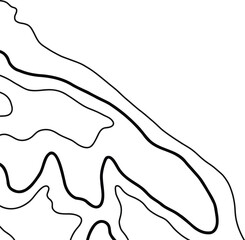 Topographic Map Lines