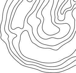 Topographic Map Lines