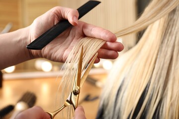 Naklejka premium Hairdresser cutting client's hair with scissors in salon, closeup