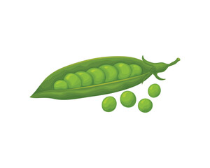 Green peas in a pod. String peas in cartoon style. Fresh green peas. A ripe vegetable garden. Vector illustration