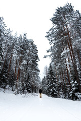 Man Walking Alone In A Snowy Area