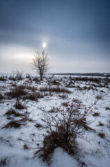 Day in the winter forest . Blue sky and clouds. Snow in the forest . Woods in snow . Mystery forest in wintertime . 
