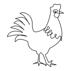Hen  continuous one line drawing of outline vector illustration