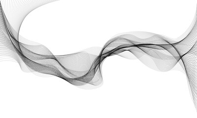 Abstract black lines wave mesh smoke liquit on white design luxury background vector