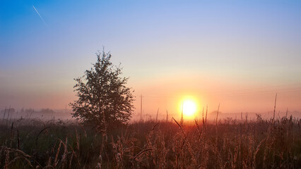 Fototapeta na wymiar Landscape village. Summer or autumn sunrise in the field
