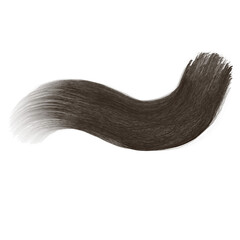 make up brush