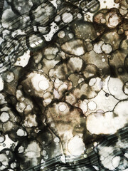 Author's artistic abstractions. Watercolor and alcohol inks. Modern art. Processed in Photoshop