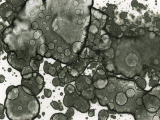 Author's artistic abstractions. Watercolor and alcohol inks. Modern art. Processed in Photoshop