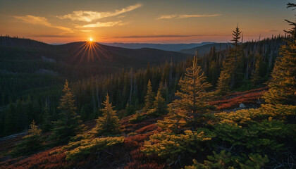 Obraz premium Beauty of dusk settling over the spruce landscape focus on the interplay of shadows and light as the last rays of the sun cast a warm glow on the rugged terrain