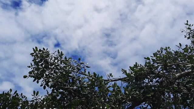 Time lapse de movimento das nuvens no c&eacute;u