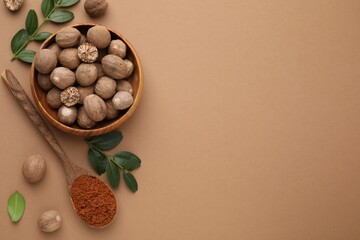 Flat lay composition with nutmegs on light brown background. Space for text