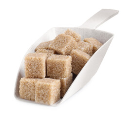 Brown sugar cubes in scoop isolated on white