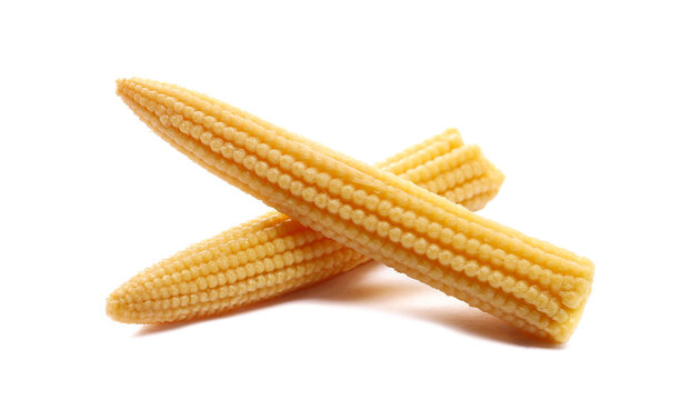 Fresh boiled baby corn cobs isolated on white