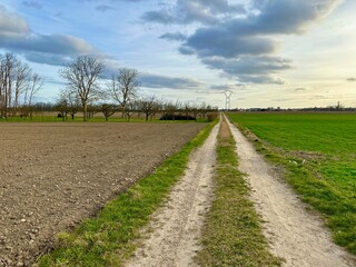 Tranquil Country Path: A Rural Journey Through the Fields of Marckolsheim to Mackenheim in Alsace