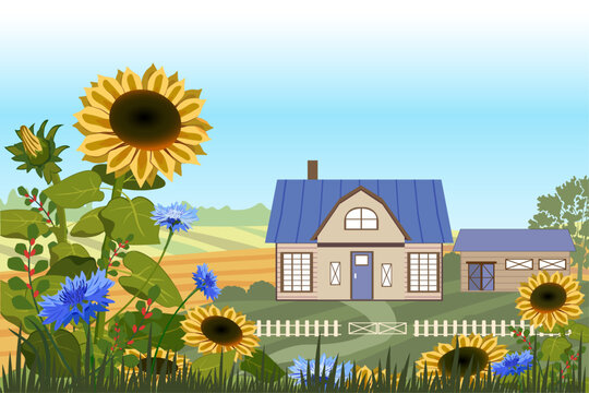 Countryside landscape with rural house, fence, flowers and fields. Vector illustration