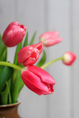 Red tulips in a vase.