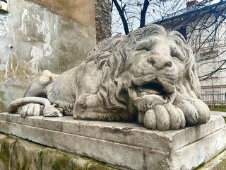 Fototapeta na wymiar A beautiful old stone lion decorates the porch of a building, Lviv, Ukraine