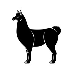 Animal llama icon isolated on white background.