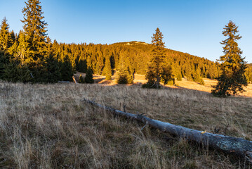 Stredna polana with Velky Choc hill above in Chocske vrchy mountains in Slovakia © honza28683