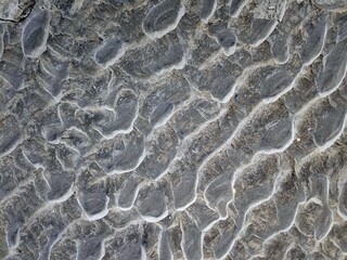 Sandformation im wattenmeer
