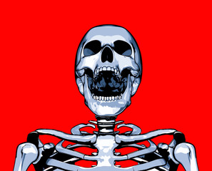 Laughing skull portrait isolated on red BG