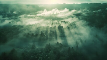 Beautiful aerial View of hilly landscape in morning mist with sun rays, banner format
