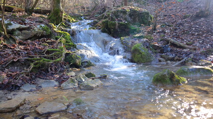 waterfall in the forest