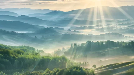 Fototapeten Beautiful aerial View of hilly landscape in morning mist with sun rays, banner format  © Ziyan