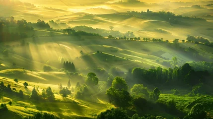 Poster Beautiful aerial View of hilly landscape in morning mist with sun rays, banner format  © Ziyan